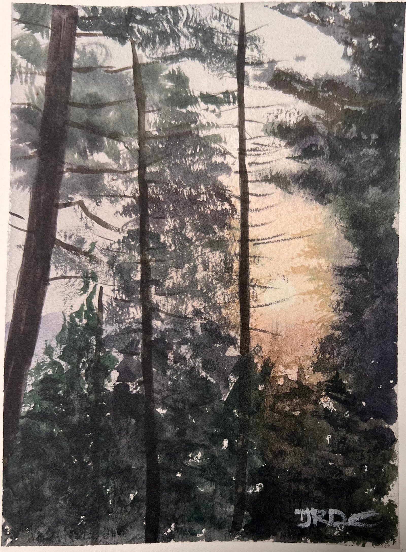 Forest sunset, 6×8 watercolor
