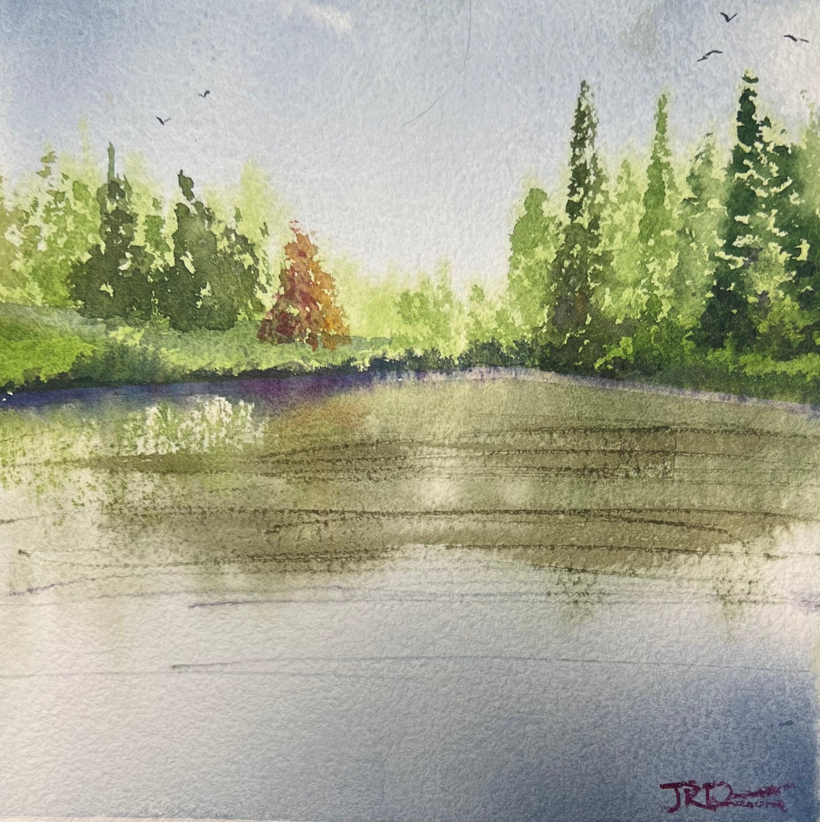 Upon reflection, 8×8