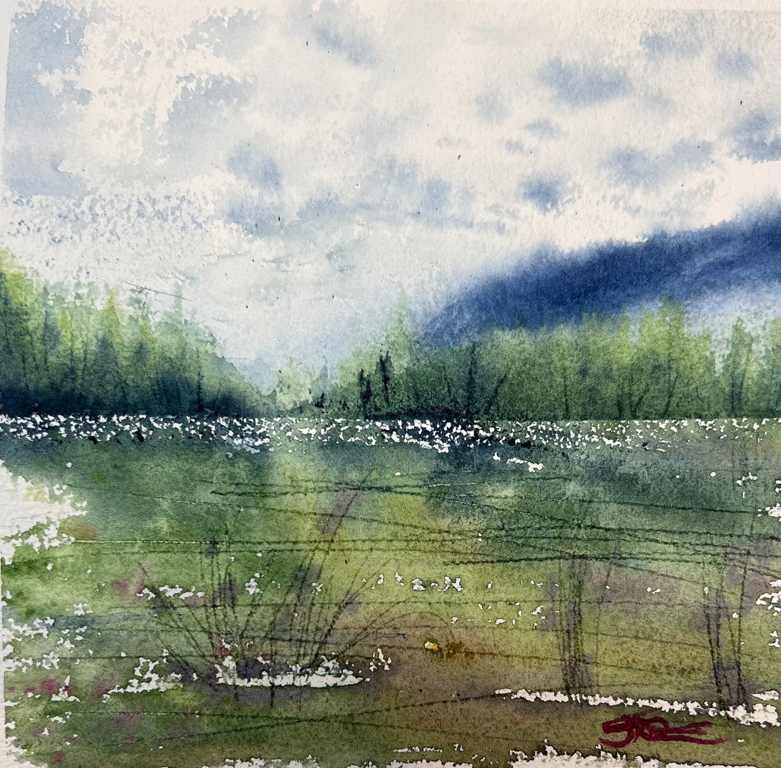 Meadow, 8×8 watercolor
