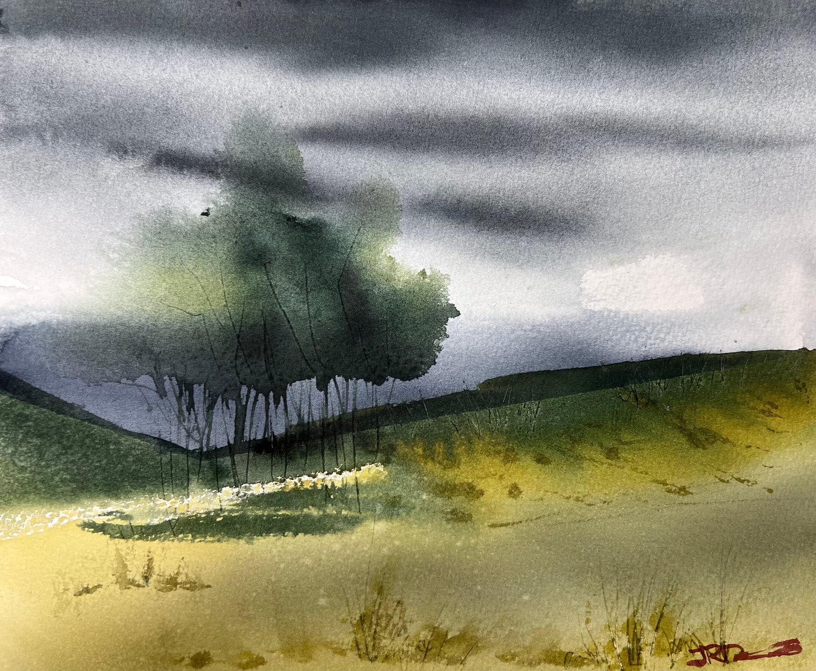 Dark grove, 9×12 watercolor